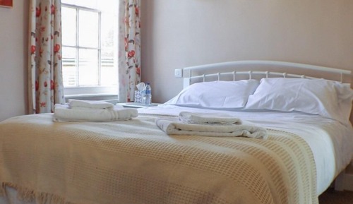 Habitación estándar con 2 camas individuales, baño privado