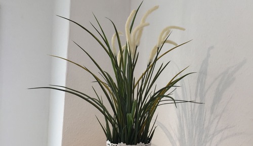 Habitación con 1 cama doble o 2 individuales