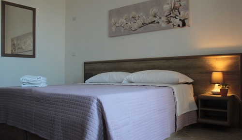 Habitación clásica con 1 cama doble o 2 individuales