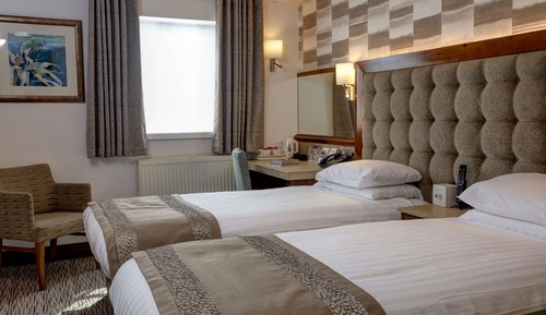 Habitación estándar, 2 camas individuales, no fumadores