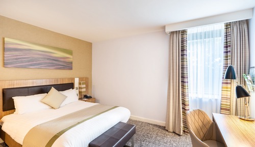 Habitación estándar, 1 cama de matrimonio (Walk-In Shower)