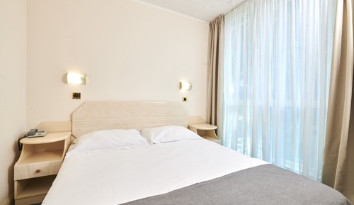 Economy room with french bed park side - single use