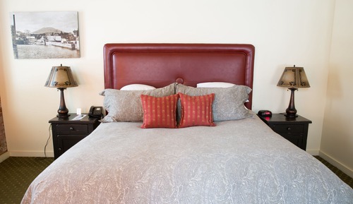 Habitación, 1 cama de matrimonio grande (King Pet)