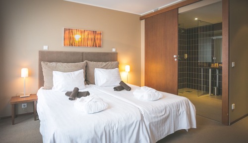 Habitación superior (Spa Access Included)