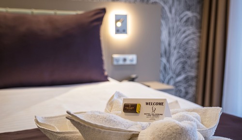 Habitación Premium con 1 cama doble o 2 individuales, balcón