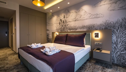 Habitación Premium con 1 cama doble o 2 individuales, vistas parciales al lago