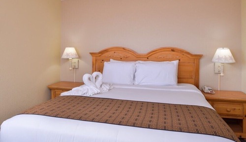 Suite estudio Confort