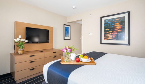 Suite, 1 cama de matrimonio grande, no fumadores, frigorífico (with Sofabed)