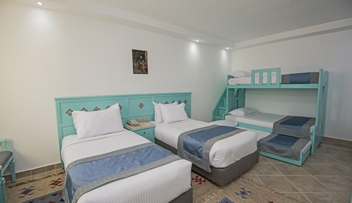 Family room Bunk bed