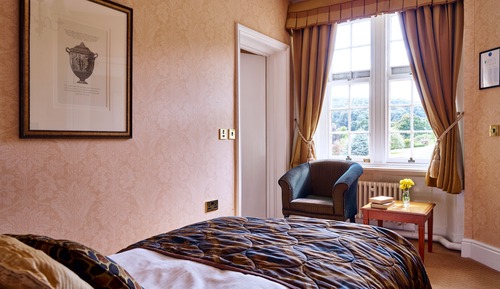 Habitación individual básica, 1 cama individual