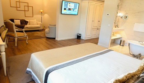 Suite ejecutiva, 1 habitación