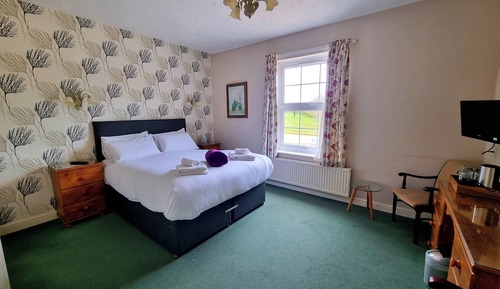 Suite, baño privado