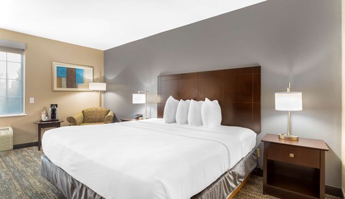 Habitación estándar, 1 cama de matrimonio grande, no fumadores, frigorífico y microondas