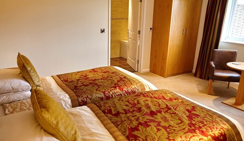 Habitación Deluxe con 2 camas individuales