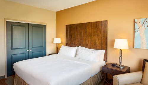 Habitación estándar, 1 cama de matrimonio grande