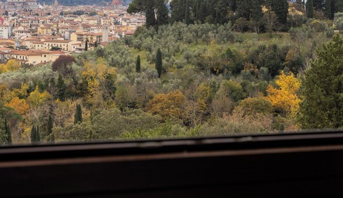 Suite junior (Dome View)