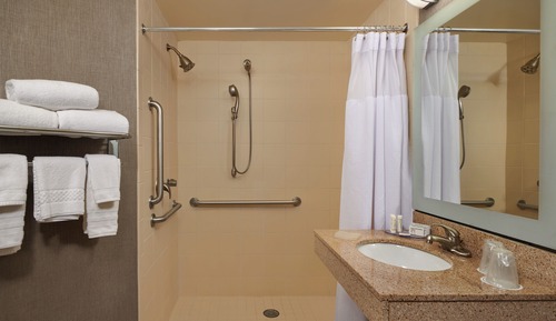 Suite, 1 cama doble (Mobility/Hearing Access, Roll-In Shwr)