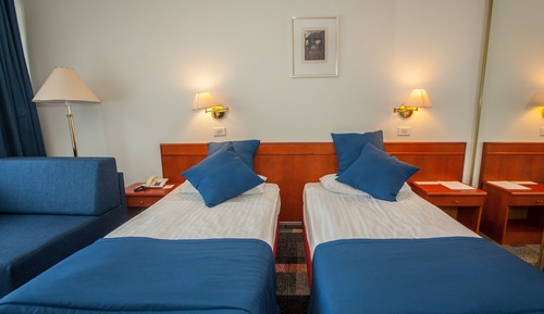 Habitación estándar con 1 cama doble o 2 individuales