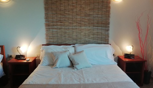 Habitación doble, vistas al jardín