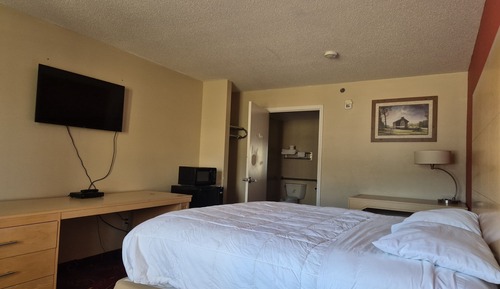 Habitación estándar, 1 cama de matrimonio grande, accesible para personas con discapacidad