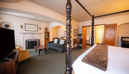 Suite estándar, 1 cama de matrimonio grande (Library Suite)