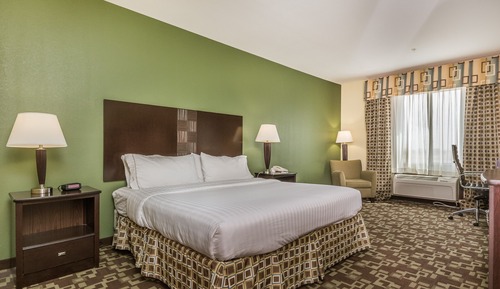 Habitación estándar, 1 cama de matrimonio grande