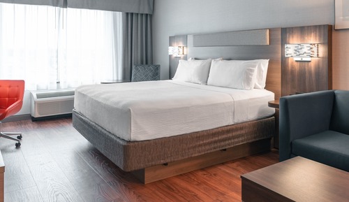 Habitación estándar, 1 cama de matrimonio grande (Roll-In Shower)