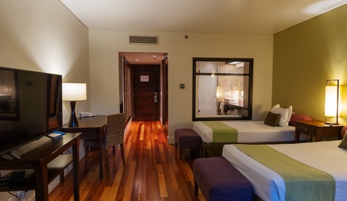 Habitación triple junior