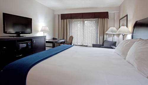 Habitación estándar, 1 cama de matrimonio grande (Roll-In Shower)