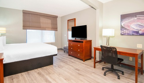 Habitación estándar, 1 cama de matrimonio grande, no fumadores (One-Bedroom Suite)