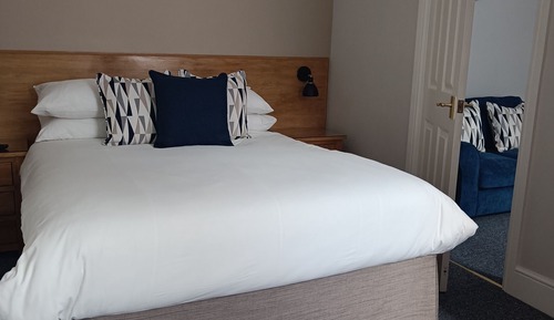 Suite, baño privado (Double Junior Suite)