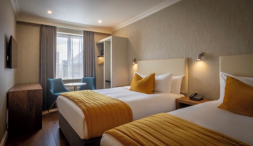 Habitación estándar, 2 camas individuales