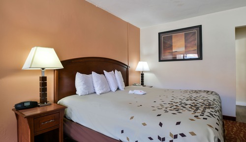 Suite, accesible para personas con discapacidad, frigorífico y microondas