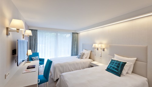 Habitación ejecutiva con 2 camas individuales (Wellness & Fitness Access)