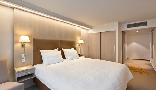 Habitación ejecutiva doble (Wellness & Fitness Access)
