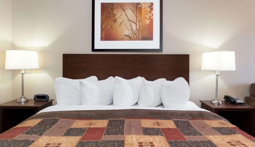 Habitación, 1 cama de matrimonio grande, no fumadores (Pet-friendly)