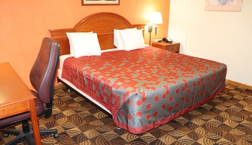 Habitación básica, 1 cama de matrimonio grande