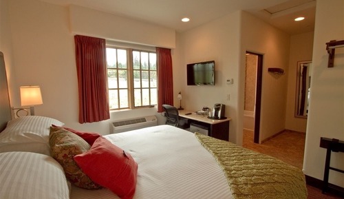 Habitación estándar, 1 cama de matrimonio grande (Euro King Room)