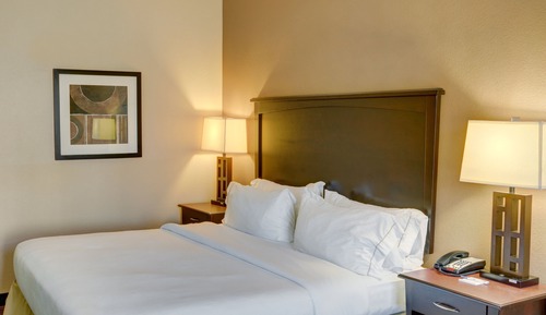 Habitación estándar, 1 cama de matrimonio grande, accesible para personas con discapacidad (Hearing)