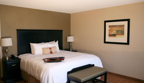 Habitación, 1 cama de matrimonio grande