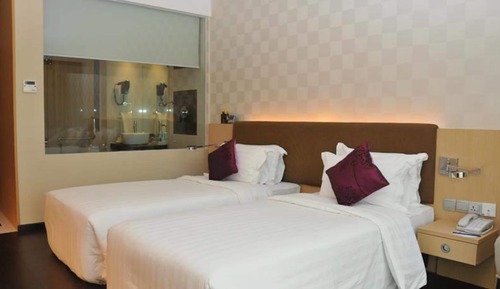 Habitación Deluxe con 2 camas individuales