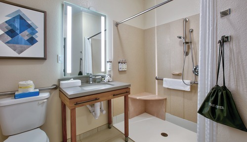 Suite estudio, 1 cama de matrimonio (Communication, Roll-In Shower)