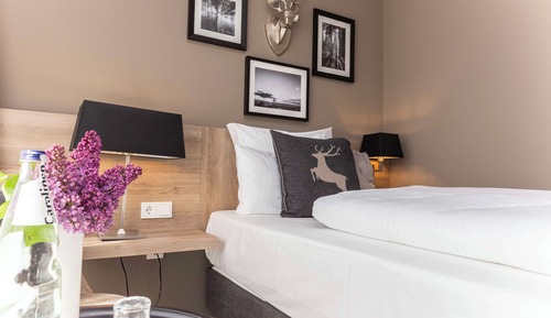 Habitación Confort, 1 cama individual (Comfort Plus)