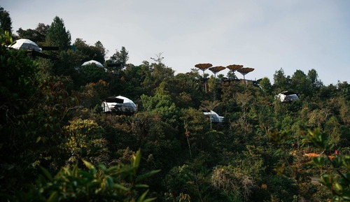 Mushroom Gold + Hydrospa