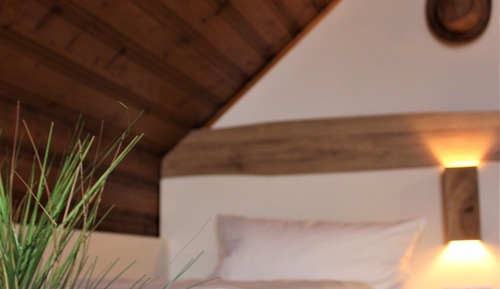 Habitación con 2 camas individuales, baño privado