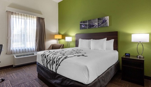 Habitación, 1 cama de matrimonio grande, accesible para personas con discapacidad, no fumadores