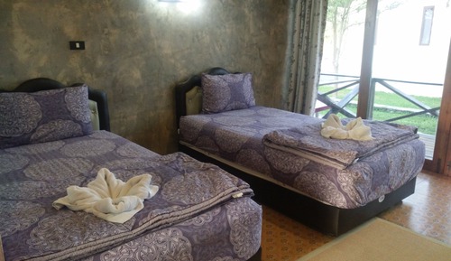 Habitación estándar con 2 camas individuales