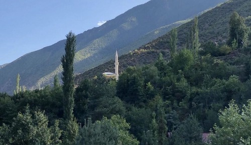 Habitación básica doble de uso individual, no fumadores, vistas al jardín