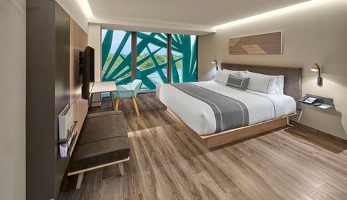 Habitación, 1 cama de matrimonio grande, no fumadores