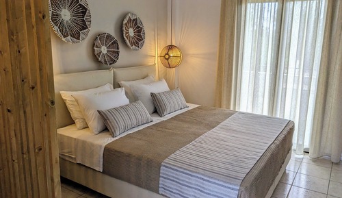 Habitación clásica doble, vistas al jardín